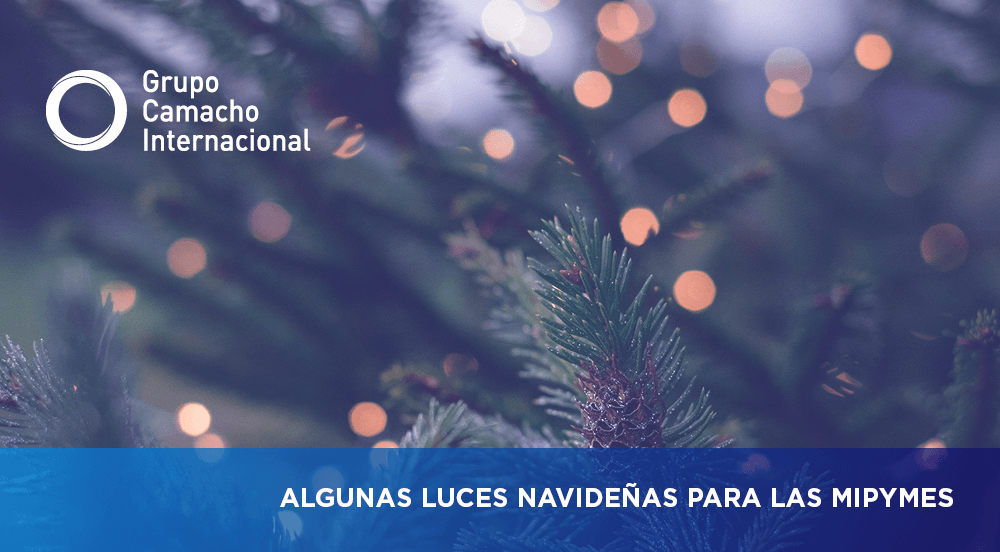 Algunas luces navideñas para las MIPYMES en este cierre fiscal - Artículo Lucía Vargas (2)